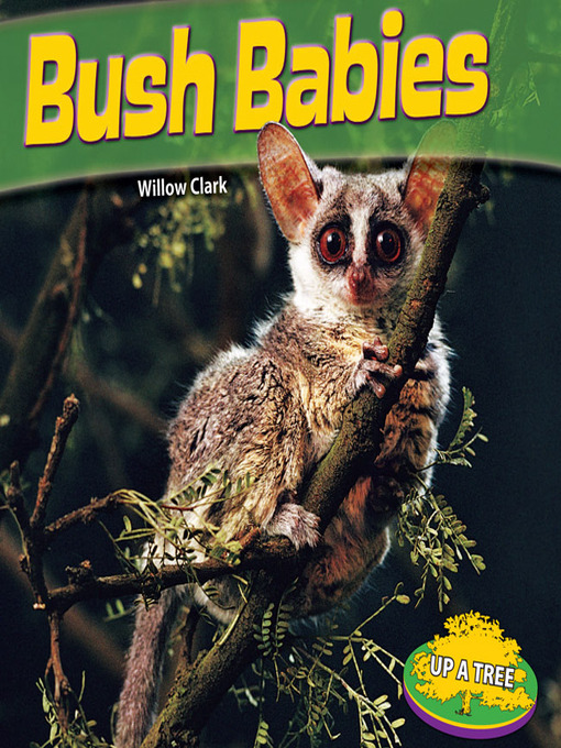 Title details for Bush Babies by Willow Clark - Available